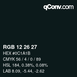 Color code: RGB 12 26 27 | qconv.com