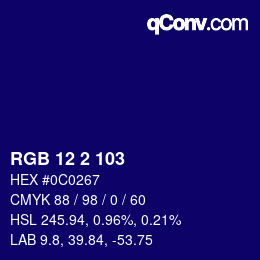 Color code: RGB 12 2 103 | qconv.com