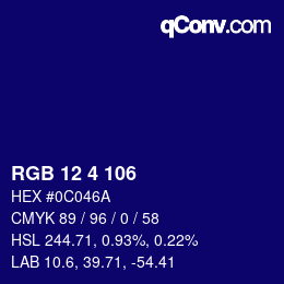 Color code: RGB 12 4 106 | qconv.com