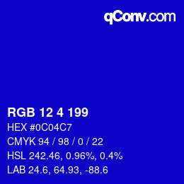 Color code: RGB 12 4 199 | qconv.com
