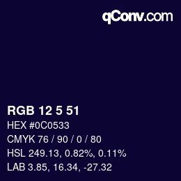Color code: RGB 12 5 51 | qconv.com