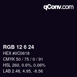 カラーコード: RGB 12 6 24 | qconv.com