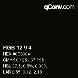 颜色代码: RGB 12 9 4 | qconv.com