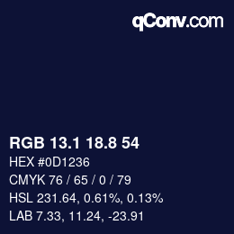 Color code: RGB 13.1 18.8 54 | qconv.com