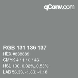 Color code: RGB 131 136 137 | qconv.com