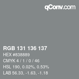 Color code: RGB 131 136 137 | qconv.com