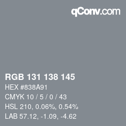 Color code: RGB 131 138 145 | qconv.com