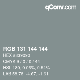 Color code: RGB 131 144 144 | qconv.com