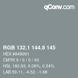 Código de color: RGB 132.1 144.8 145 | qconv.com