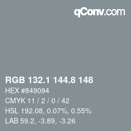 Color code: RGB 132.1 144.8 148 | qconv.com
