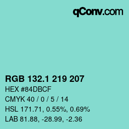 Color code: RGB 132.1 219 207 | qconv.com