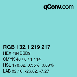 Color code: RGB 132.1 219 217 | qconv.com