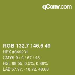 カラーコード: RGB 132.7 146.6 49 | qconv.com