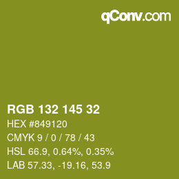 Color code: RGB 132 145 32 | qconv.com