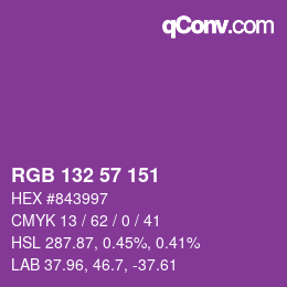Color code: RGB 132 57 151 | qconv.com