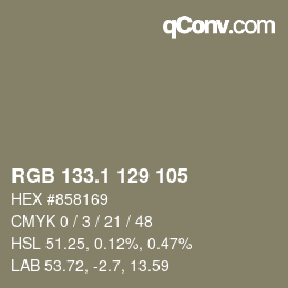 カラーコード: RGB 133.1 129 105 | qconv.com