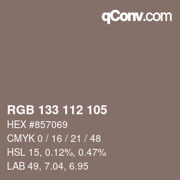 Code couleur: RGB 133 112 105 | qconv.com