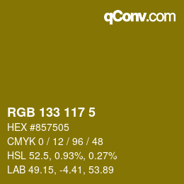 Color code: RGB 133 117 5 | qconv.com