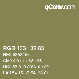 Color code: RGB 133 132 83 | qconv.com