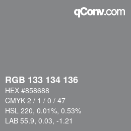 Color code: RGB 133 134 136 | qconv.com