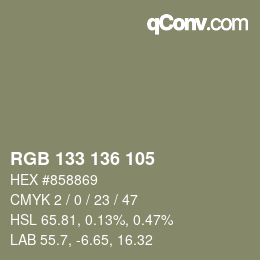 Color code: RGB 133 136 105 | qconv.com