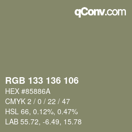 Color code: RGB 133 136 106 | qconv.com