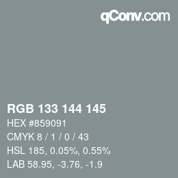 Color code: RGB 133 144 145 | qconv.com