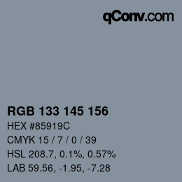 颜色代码: RGB 133 145 156 | qconv.com