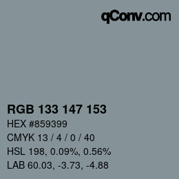 Código de color: RGB 133 147 153 | qconv.com