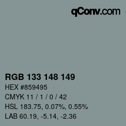 Código de color: RGB 133 148 149 | qconv.com