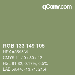 Color code: RGB 133 149 105 | qconv.com