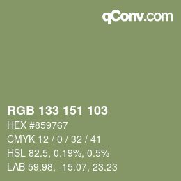 Color code: RGB 133 151 103 | qconv.com