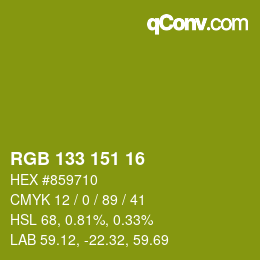 Color code: RGB 133 151 16 | qconv.com