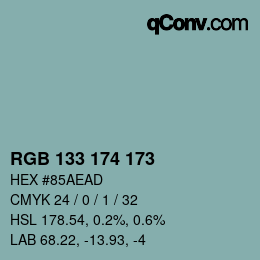 Color code: RGB 133 174 173 | qconv.com