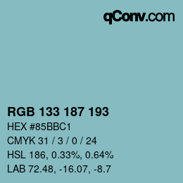 カラーコード: RGB 133 187 193 | qconv.com