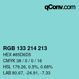 Color code: RGB 133 214 213 | qconv.com