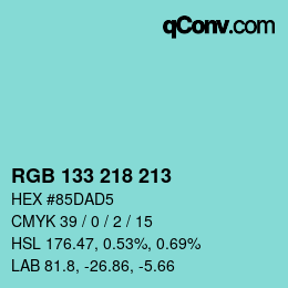 Color code: RGB 133 218 213 | qconv.com