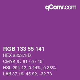 Farbcode: RGB 133 55 141 | qconv.com