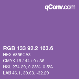 カラーコード: RGB 133 92.2 163.6 | qconv.com