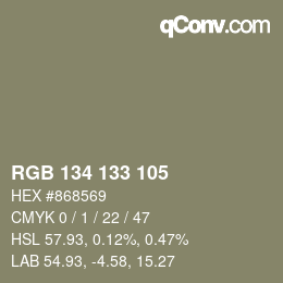 Color code: RGB 134 133 105 | qconv.com