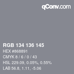 Color code: RGB 134 136 145 | qconv.com