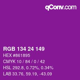 Farbcode: RGB 134 24 149 | qconv.com