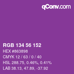 Color code: RGB 134 56 152 | qconv.com