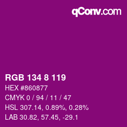 Color code: RGB 134 8 119 | qconv.com