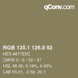 Color code: RGB 135.1 126.8 92 | qconv.com