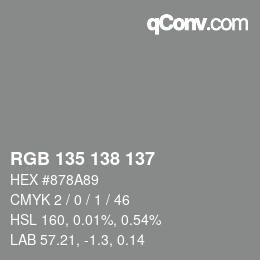 Color code: RGB 135 138 137 | qconv.com