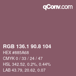 Color code: RGB 136.1 90.8 104 | qconv.com