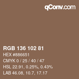 Color code: RGB 136 102 81 | qconv.com