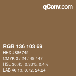 Farbcode: RGB 136 103 69 | qconv.com