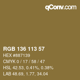 Color code: RGB 136 113 57 | qconv.com